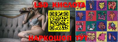 гашик Кунгур